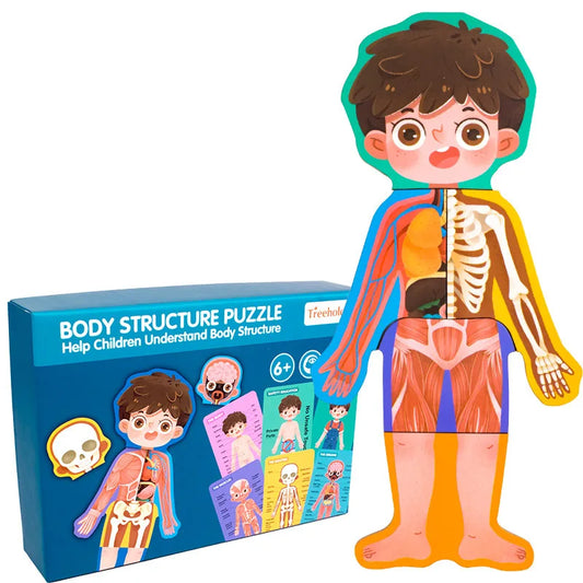 New Toys 2023 Kids Montessori Body Cognitive Structure 3d Puzzle & Game Baby 2-4-9 Years Old Kindergarten Educational Toys